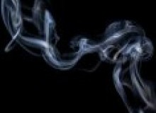 Kwikfynd Drain Smoke Testing
ferntreegully